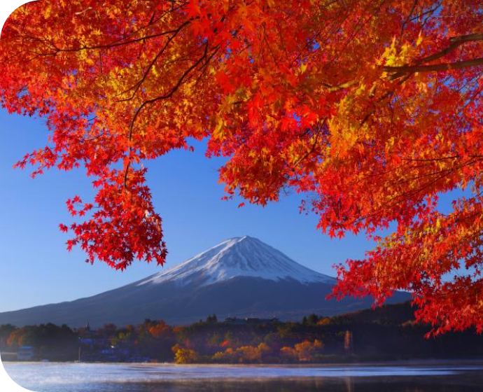 河口湖町で彩る紅葉絶景